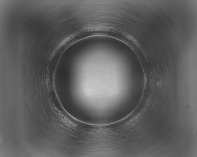 X0000054390922200507291139