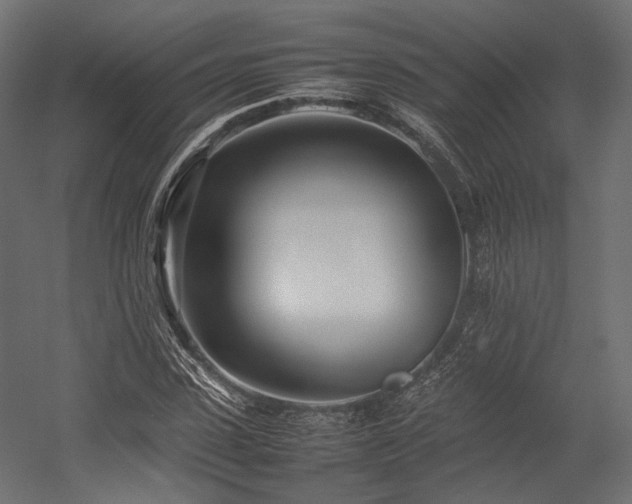 X0000054390923200507291140