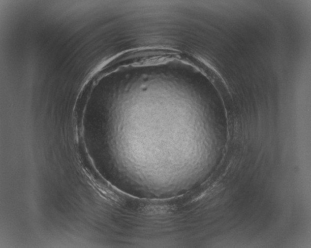 X0000054390925200507291140