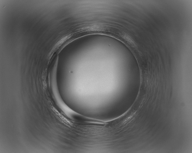X0000054390930200507291140