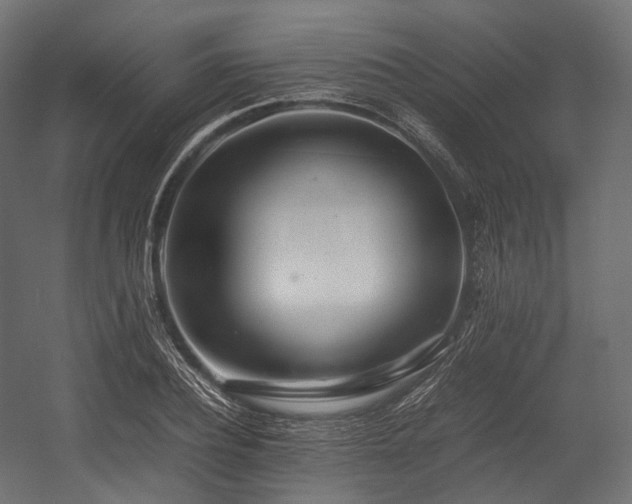 X0000054390932200507291140