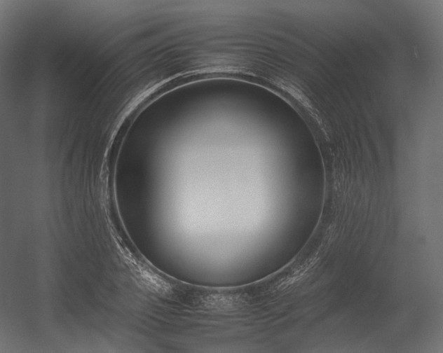 X0000054390933200507291140