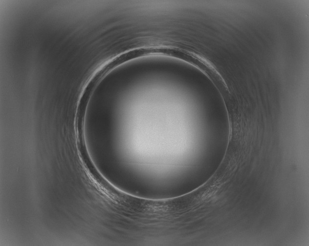 X0000054390935200507291140