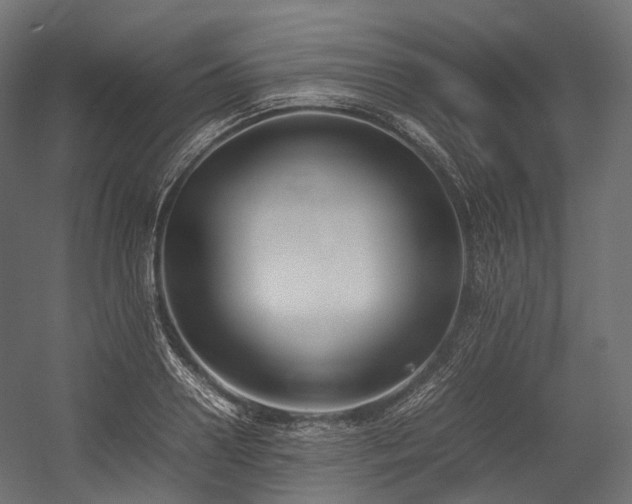X0000054390938200507291140