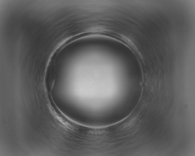 X0000054390939200507291140