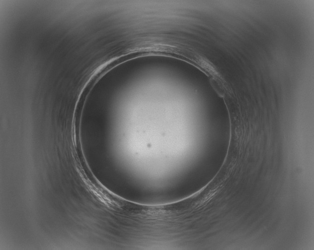 X0000054390940200507291140