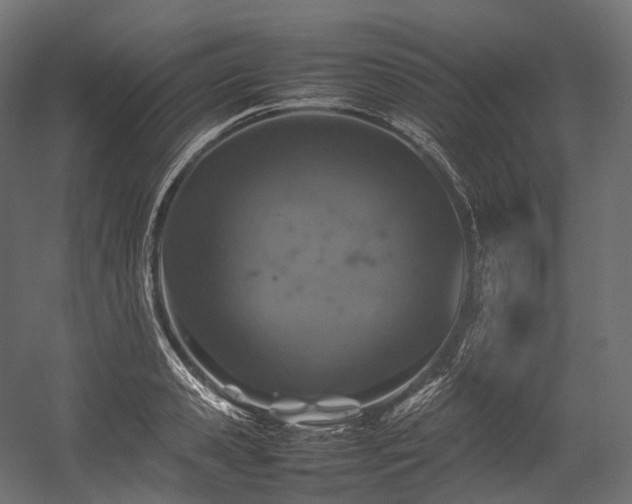 X0000054390941200507291140
