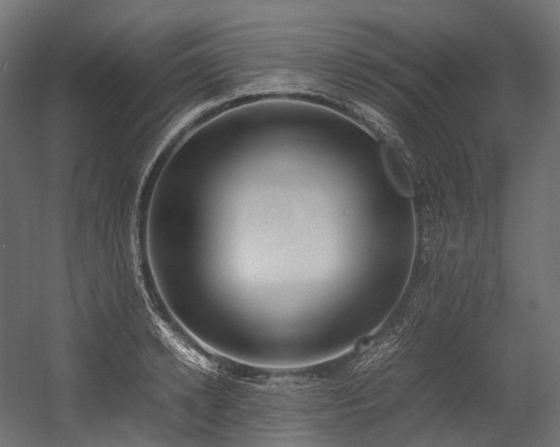 X0000054390942200507291140