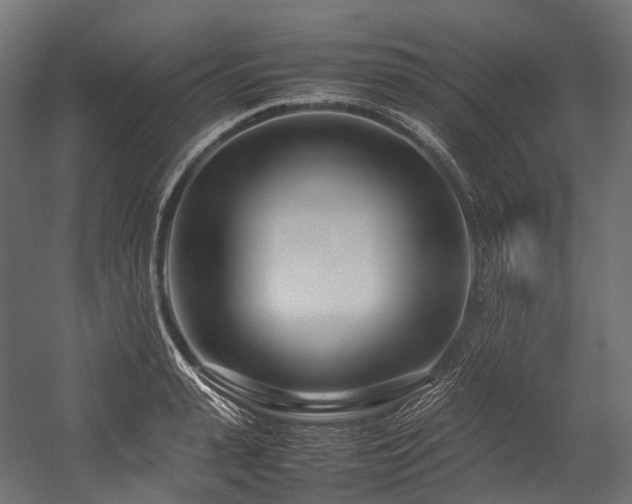X0000054390943200507291140