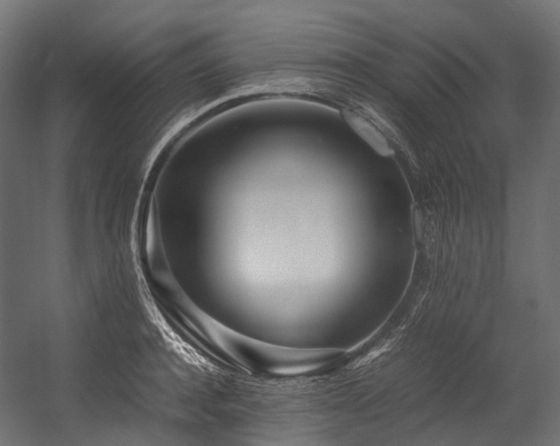 X0000054390944200507291140
