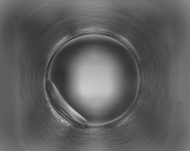 X0000054390946200507291140