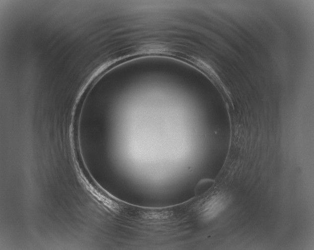 X0000054390947200507291140