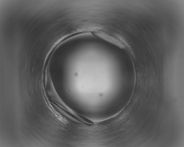 X0000054390948200507291140