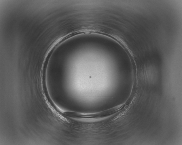 X0000054390949200507291140