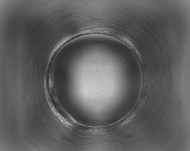 X0000054390952200507291140