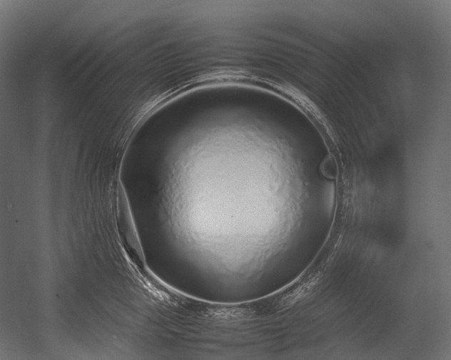 X0000054390953200507291140