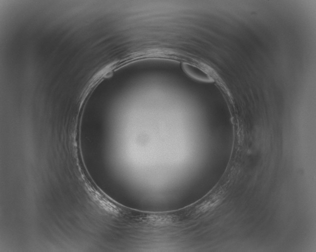 X0000054390954200507291140