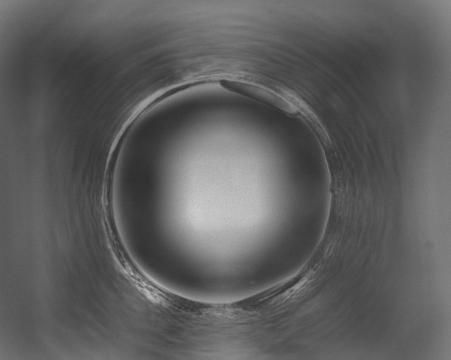 X0000054390956200507291140