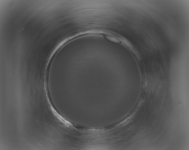 X0000054390958200507291140