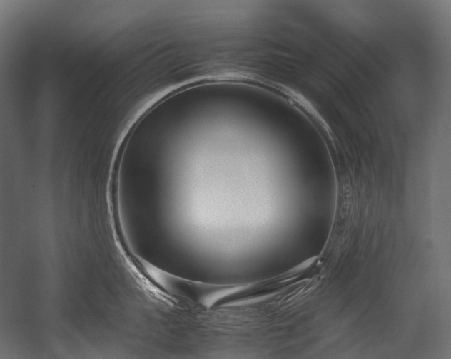 X0000054390959200507291140