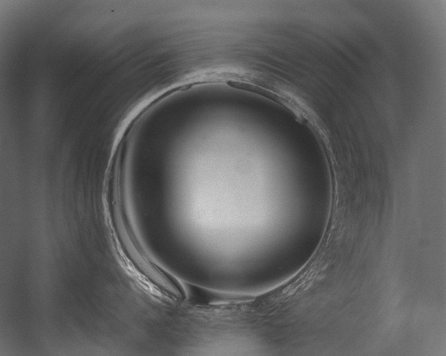 X0000054390960200507291140