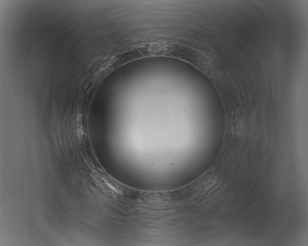 X0000054390962200507291139