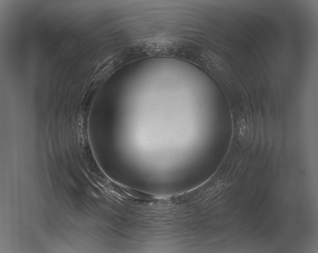 X0000054390964200507291139