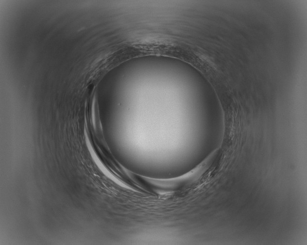 X0000054390965200507291139