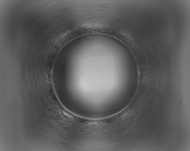 X0000054390966200507291139