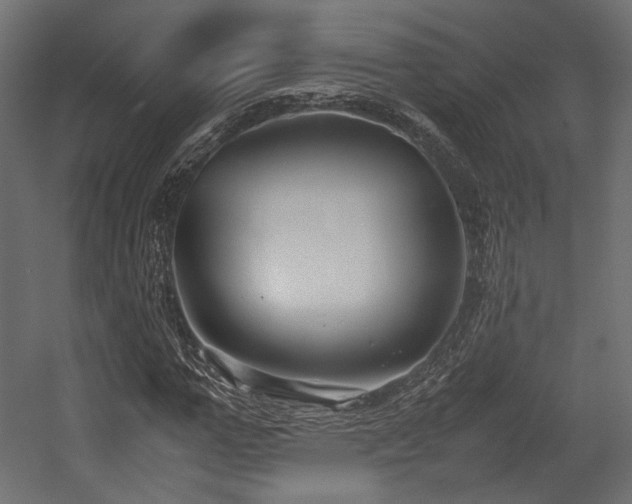 X0000054390967200507291139