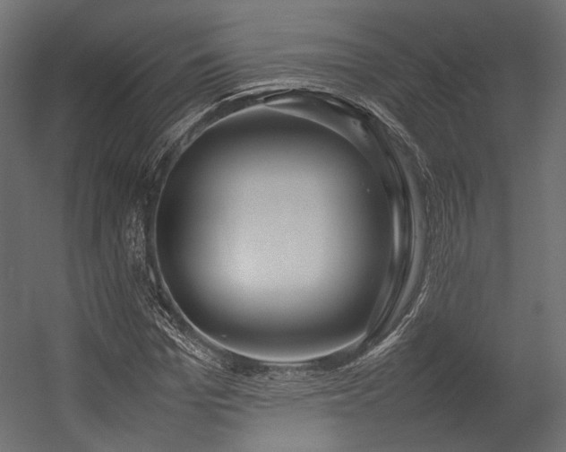 X0000054390969200507291139