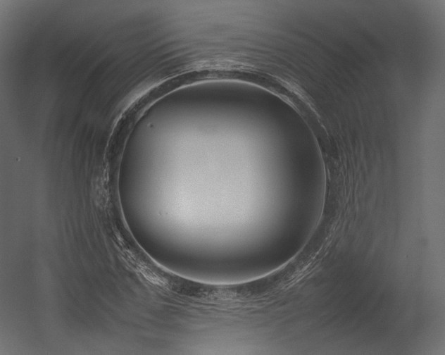 X0000054390971200507291139