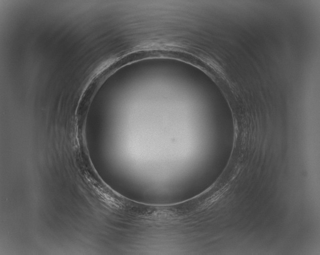 X0000054390974200507291139