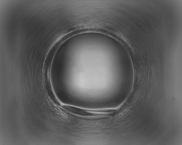 X0000054390975200507291139