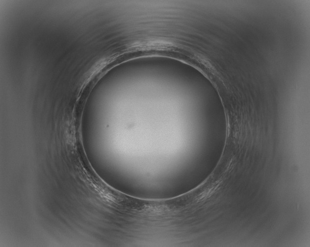 X0000054390978200507291139