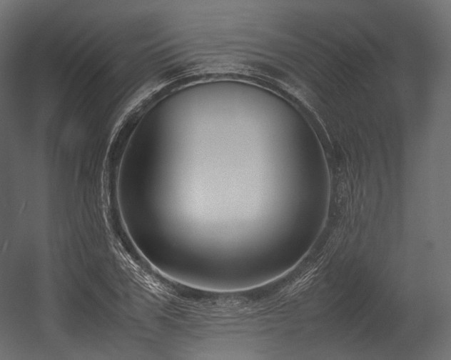 X0000054390979200507291139