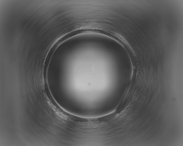 X0000054390980200507291139