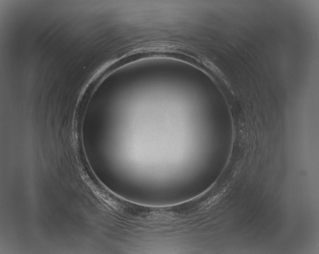 X0000054390981200507291139