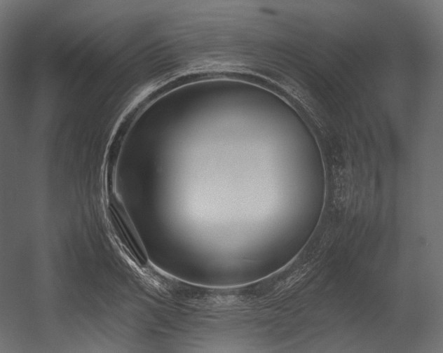 X0000054390982200507291139