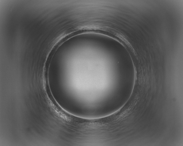 X0000054390984200507291139