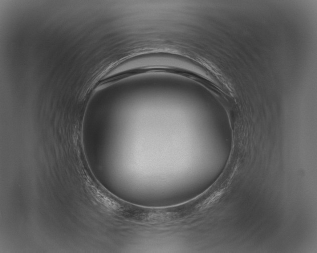 X0000054390985200507291139