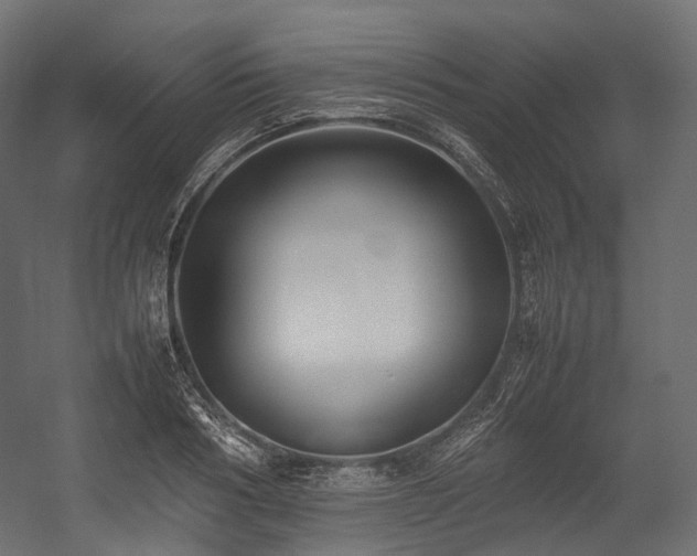 X0000054390986200507291139