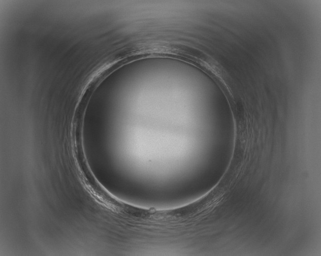 X0000054390987200507291139