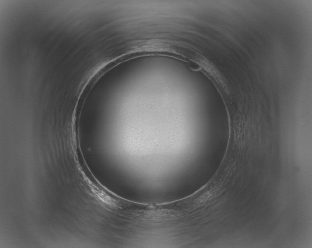 X0000054390988200507291139