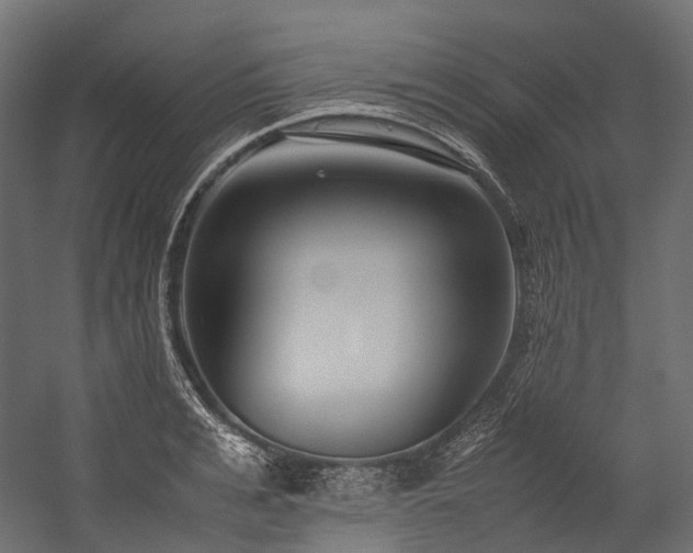 X0000054390991200507291139
