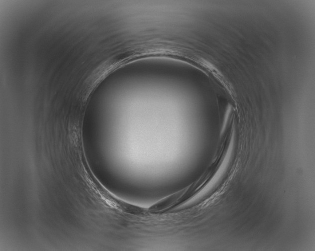 X0000054390993200507291139