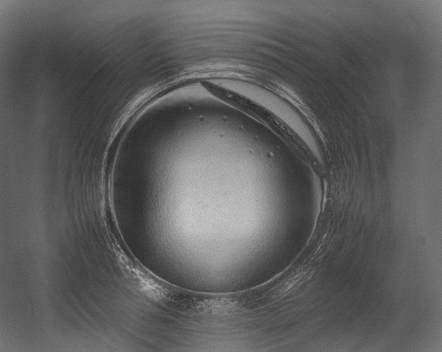 X0000054390994200507291139