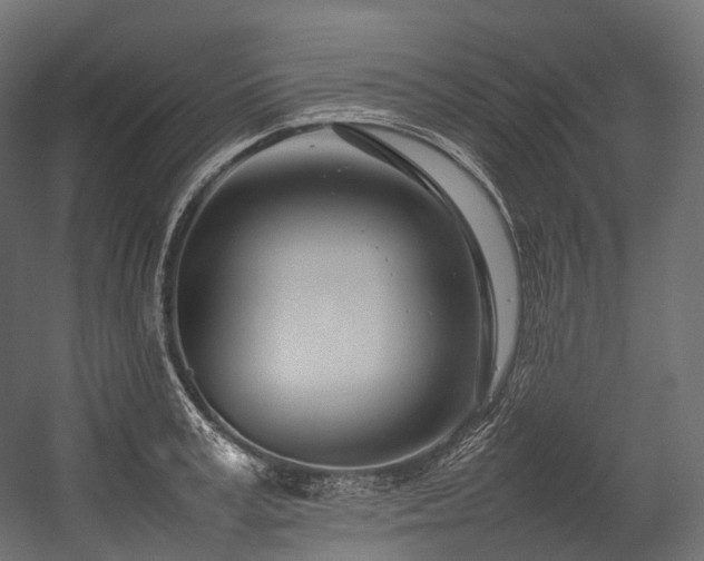 X0000054390995200507291139