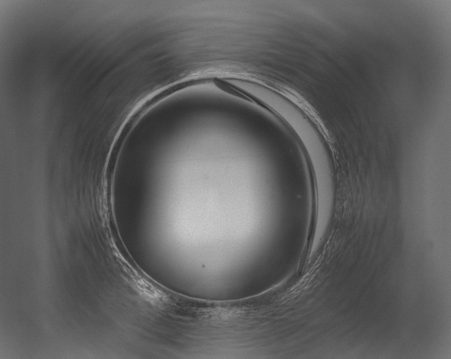 X0000054390996200507291139