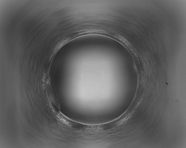 X0000054391001200507291139
